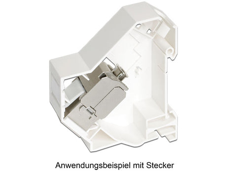 Delock 86212 Keystone Mounting For Din Rail