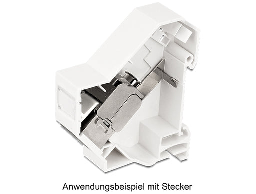 Delock 86232 Keystone Mounting For Din Rail With Grounding