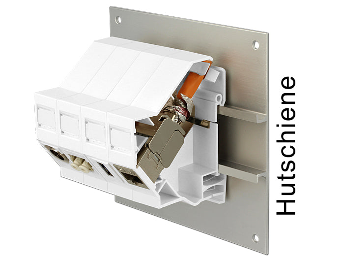 Delock 86232 Keystone Mounting For Din Rail With Grounding