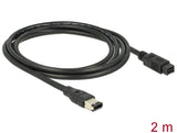 Delock 82596 Cable Firewire 9 Pin Male > 6 Pin Male 2 M