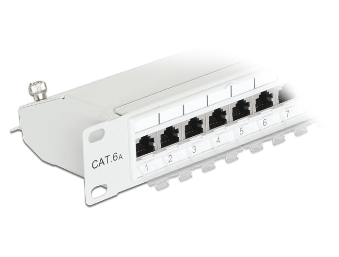 Delock 43319 19″ Patch Panel 24 Port Cat.6A Grey