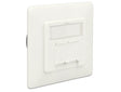 Delock 86195 Modular Wall Outlet Flush Mount 2 Port Cat.6A Lsa