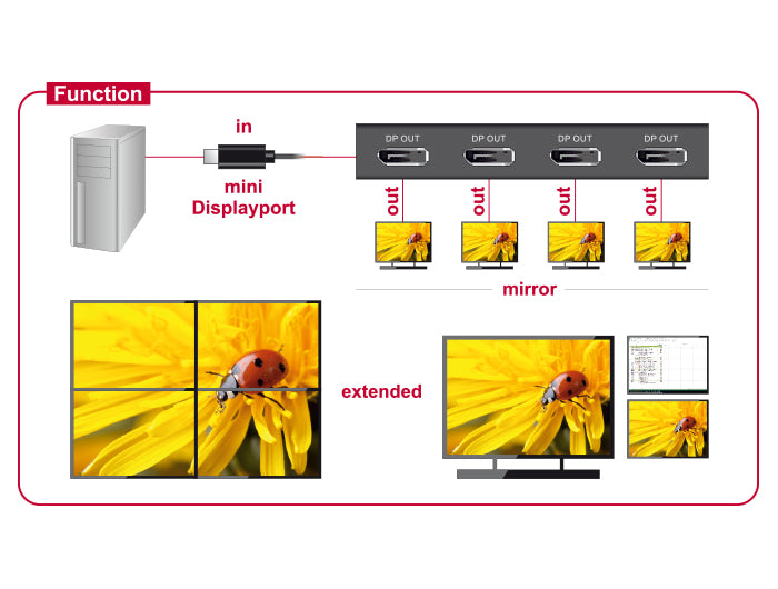 Delock 87693 Displayport 1.2 Splitter 1 X Mini Displayport In