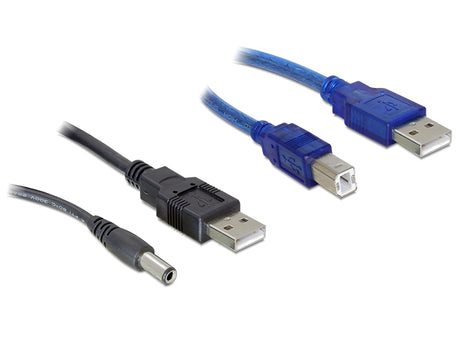 Delock 82461 Cable Set 2 X Usb-A To Dc + Usb-B 30 Cm