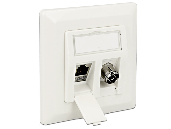 Delock 86202 Keystone Wall Outlet 2 Port