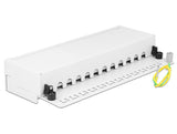 Delock 87679 Desktop Patch Panel 12 Port Cat.6A White