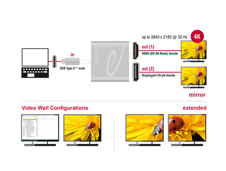 Delock 87716 Usb Type-C™ Splitter > 1 X Hdmi + 1 X Displayport Out