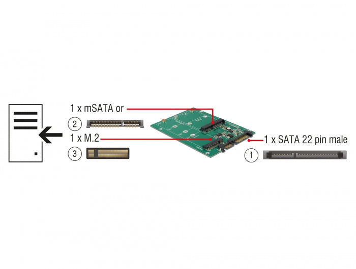 Delock 62670 Converter Sata 22 Pin > 1 X M.2 + 1 X Msata