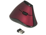 Delock 12528 Ergonomic Vertical Optical 5-Button Mouse 2.4 Ghz Wireless