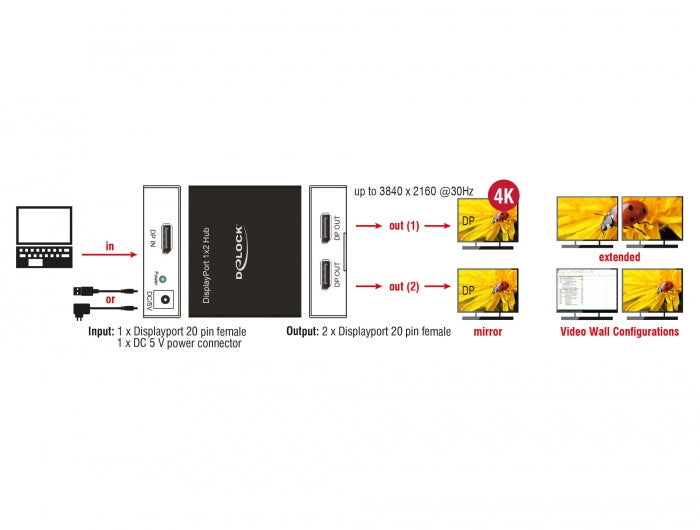 Delock 87691 Displayport 1.2 Splitter 1 X Displayport In