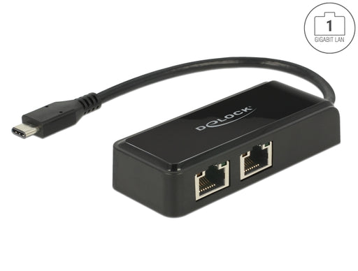 Delock 63927 Usb Type-C™ Adapter To 2 X Gigabit Lan