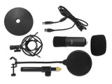 Delock 66300 Professional Usb Condenser Microphone Set