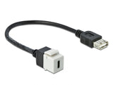 Delock 86391 Keystone Module Usb 2.0 C Female > Usb 2.0 A Female With Cable