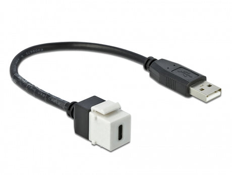 Delock 86382 Keystone Module Usb 2.0 C Female > Usb 2.0 A Male With Cable