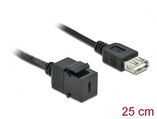 Delock 86384 Keystone Module Usb 2.0 C Female > Usb 2.0 A Female With Cable