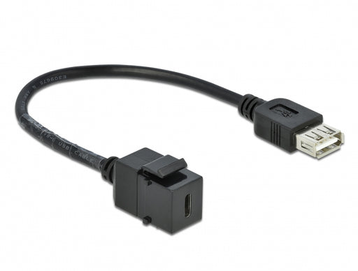 Delock 86384 Keystone Module Usb 2.0 C Female > Usb 2.0 A Female With Cable