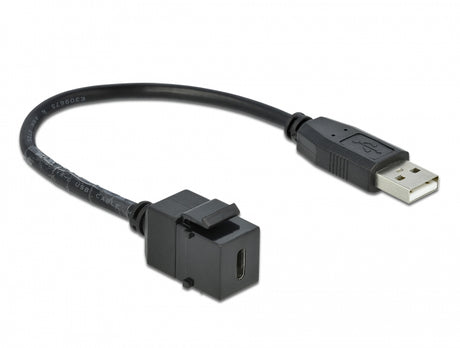 Delock 86378 Keystone Module Usb 2.0 C Female > Usb 2.0 A Male With Cable