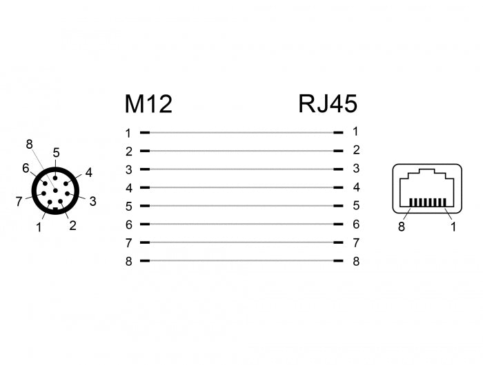 Delock 66315 Network Adapter M12 8 Pin A-Coded Male To Rj45 Jack