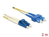 Delock 84610 Cable Optical Fibre Lc > Sc Singlemode Os2 2 M