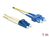 Delock 84609 Cable Optical Fibre Lc > Sc Singlemode Os2 1 M