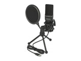 Delock 66331 Usb Condenser Microphone Set - For Podcasting, Gaming And Vocals