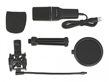 Delock 66331 Usb Condenser Microphone Set - For Podcasting, Gaming And Vocals