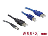 Delock 82461 Cable Set 2 X Usb-A To Dc + Usb-B 30 Cm