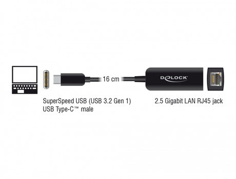 Delock 66645 Adapter Usb Type-C™ Male To 2.5 Gigabit Lan Compact