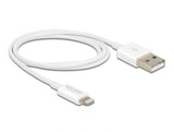 Delock 83000 Usb Data And Power Cable For Iphone™, Ipad™, Ipod™ White 1 M