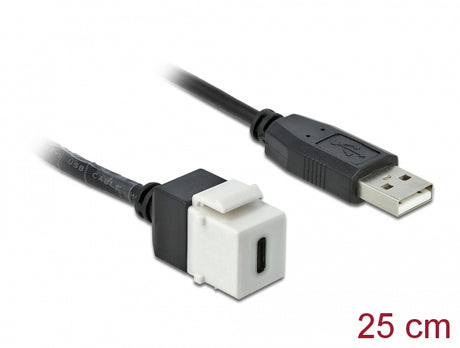 Delock 86382 Keystone Module Usb 2.0 C Female > Usb 2.0 A Male With Cable