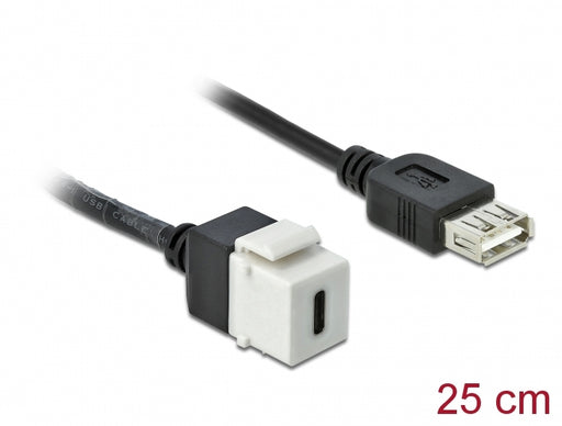 Delock 86391 Keystone Module Usb 2.0 C Female > Usb 2.0 A Female With Cable