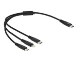 Delock 87148 Usb Charging Cable 3 In 1 Usb Type-C™ To Lightning™