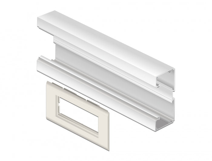 Delock 81316 Easy 45 Module Holder For Installation Trunking 130 X 80 Mm