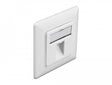 Delock 86981 Keystone Wall Outlet 1 Port