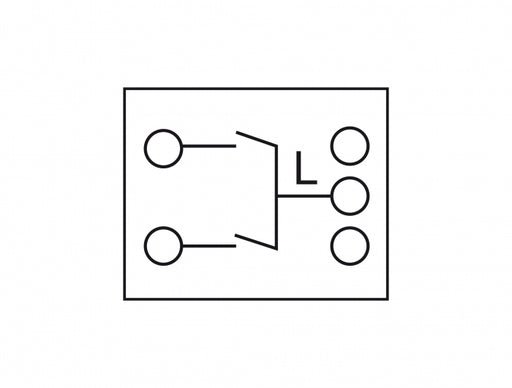 Delock 81363 Easy 45 2-Gang Switch 1-Pole 1-Way 45 X 45 Mm, White