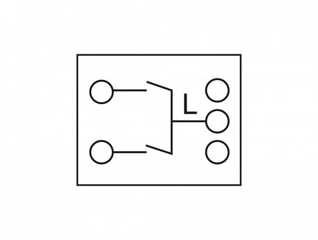 Delock 81363 Easy 45 2-Gang Switch 1-Pole 1-Way 45 X 45 Mm, White