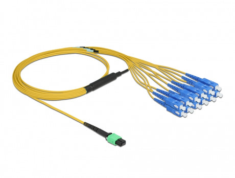 Delock 84871 Optical Fiber Cable Mpo Female To 12 X Sc Simplex Male