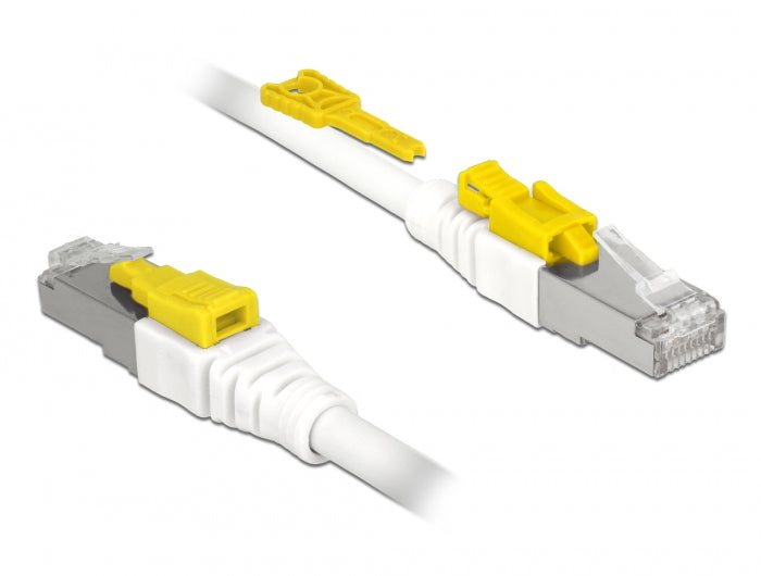 Delock 85330 Cable Rj45 Secure Cat.6A 0.5 M