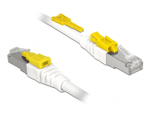 Delock 85331 Cable Rj45 Secure Cat.6A 1 M