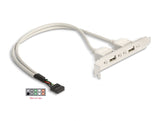 Delock 71000 Slot Bracket 2 X Usb 2.0 Type A Female External