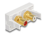 Delock 81396 Easy 45 Module 2 X Rca Female Port, Red / White Ring 22.5 X 45 Mm