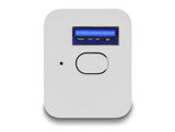 Delock 11828 Wlan Easy-Usb Smart Switch Mqtt