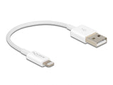 Delock 83001 Usb Data And Power Cable For Iphone™, Ipad™, Ipod™ White 15 Cm