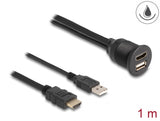 Delock 87880 Cable Hdmi-A Male And Usb 2.0 Type-A Male To Hdmi-A Female