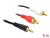 Delock 84212 Cable Audio 3.5 Mm Stereo Jack Male > 2 X Rca Male 5 M