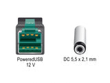 Delock 85497 Poweredusb Cable Male 12 V > Dc 5.5 X 2.1 Mm Male 1 M