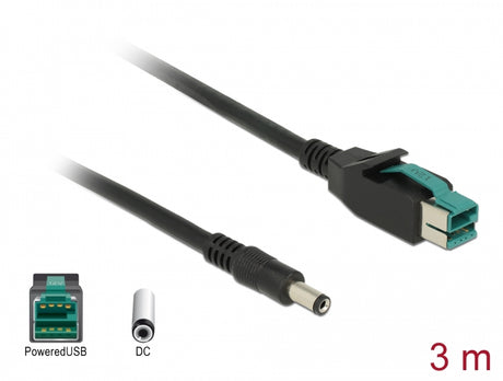 Delock 85499 Poweredusb Cable Male 12 V > Dc 5.5 X 2.1 Mm Male 3 M