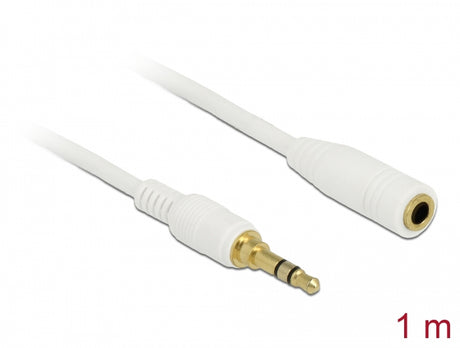 Delock 85577 Stereo Jack Extension Cable 3.5 Mm 3 Pin Male To Female 1 M White