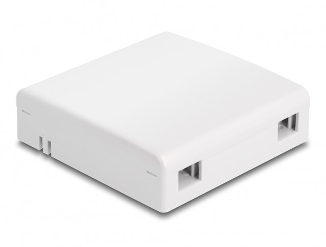 Delock 87897 Optical Fiber Connection Box For Wall Mounting