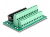 Delock 66912 D-Sub 25 Pin Female To Terminal Block For Din Rail